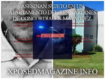 ASESINAN SUJETO EN UN APARTAMENTO DEL RES. JARDINES DE CONCORDIA, EN MAYAGÜEZ
