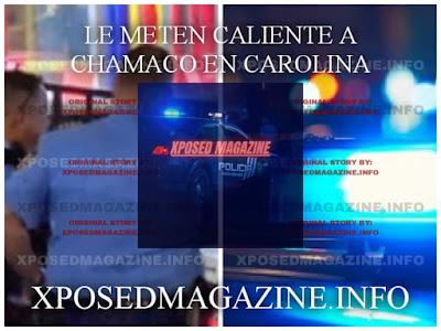 LE METEN CALIENTE A CHAMACO EN CAROLINA