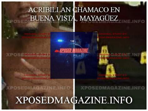 ACRIBILLAN CHAMACO EN BUENA VISTA, MAYAGÜEZ