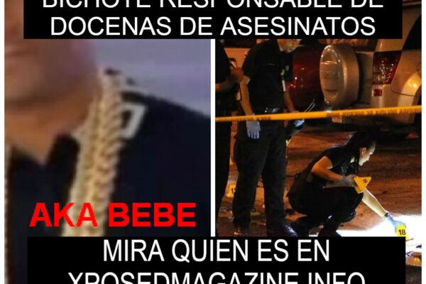 BICHOTE RESPONSABLE DE DOCENAS DE ASESINATOS
