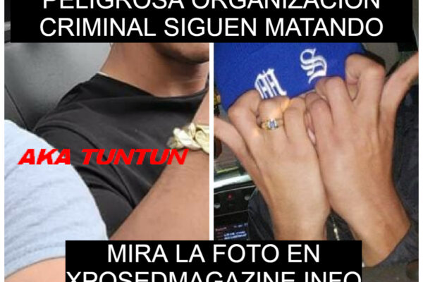 PELIGROSA ORGANIZACION CRIMINAL SIGUEN MATANDO