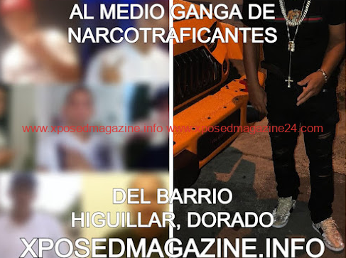 AL MEDIO GANGA DE NARCOTRAFICANTES DEL BARRIO HIGUILLAR, DORADO