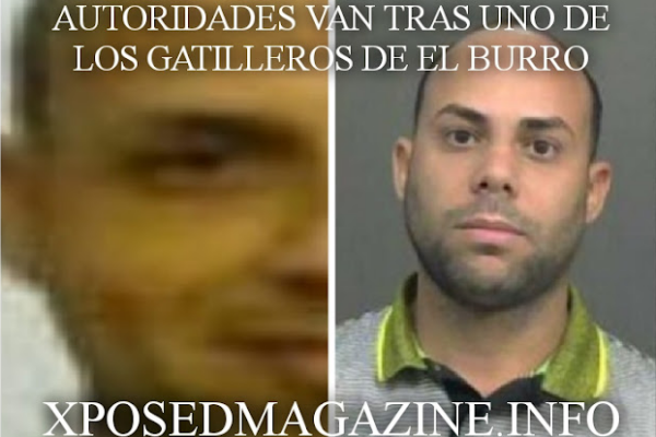 AUTORIDADES VAN TRAS UNO DE LOS GATILLEROS DE EL BURRO