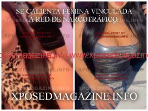 Picsart_23-02-02_10-03-09-004