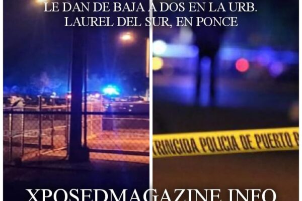 LE DAN DE BAJA A DOS EN LA URB. LAUREL DEL SUR, EN PONCE