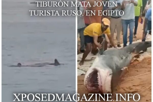TIBURÓN MATA JOVEN TURISTA RUSO, EN EGIPTO