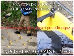 WhatsApp Image 2023-06-20 at 06.23.55