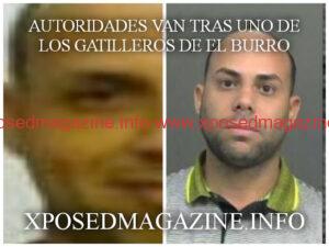 piZap_1680440002623