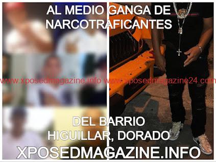AL MEDIO GANGA DE NARCOTRAFICANTES DEL BARRIO HIGUILLAR, DORADO