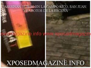 WhatsApp Image 2023-07-03 at 07.18.29