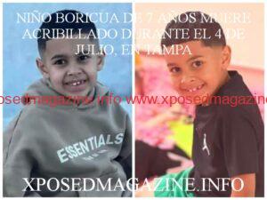 WhatsApp Image 2023-07-06 at 09.49.39