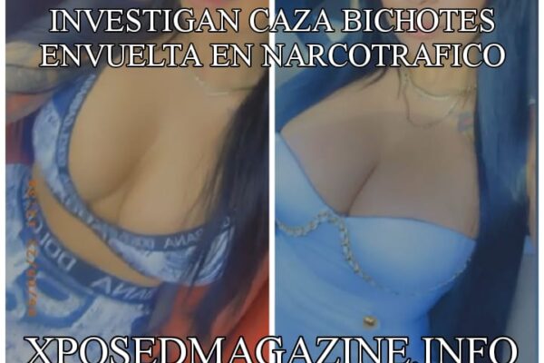 INVESTIGAN CAZA BICHOTES ENVUELTA EN NARCOTRAFICO