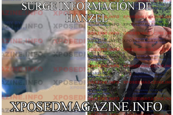SURGE INFORMACIÓN DE HANZEL