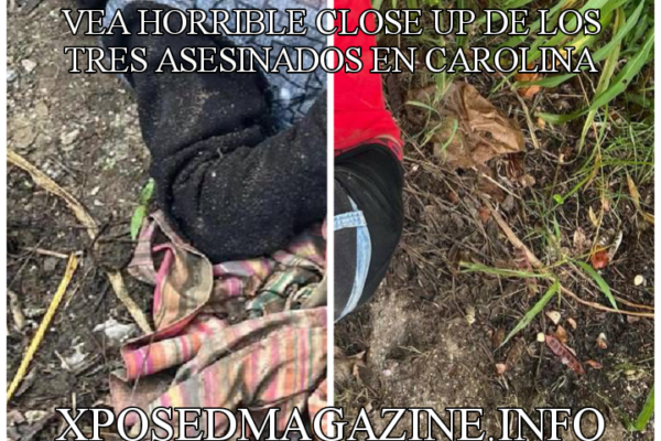 VEA HORRIBLE CLOSE UP DE LOS TRES ASESINADOS EN CAROLINA