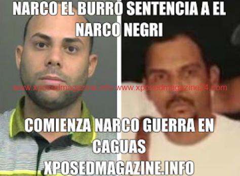 NARCO EL BURRO SENTENCIA A EL NARCO NEGRI