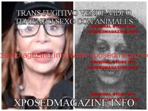 WhatsApp Image 2023-08-05 at 00.39.07