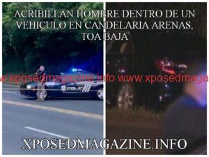 WhatsApp Image 2023-08-21 at 07.18.52