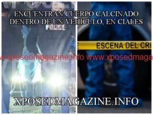 WhatsApp Image 2023-08-24 at 08.29.17