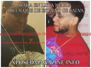 WhatsApp Image 2023-08-27 at 05.52.11