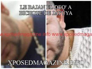 WhatsApp Image 2023-08-28 at 08.14.20