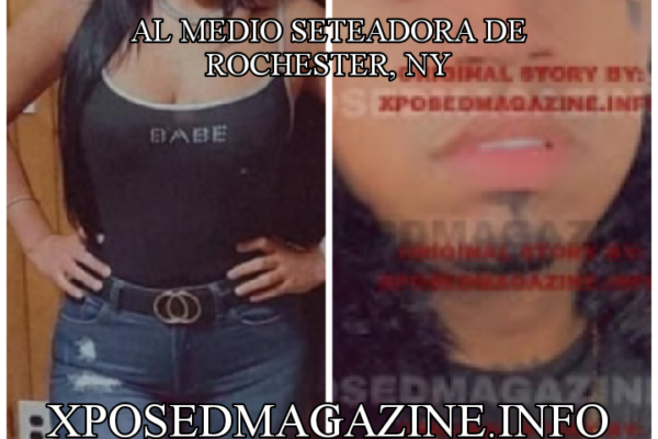 AL MEDIO SETEADORA DE ROCHESTER, NY