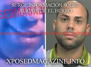 08.09.2023_20.21.57_REC