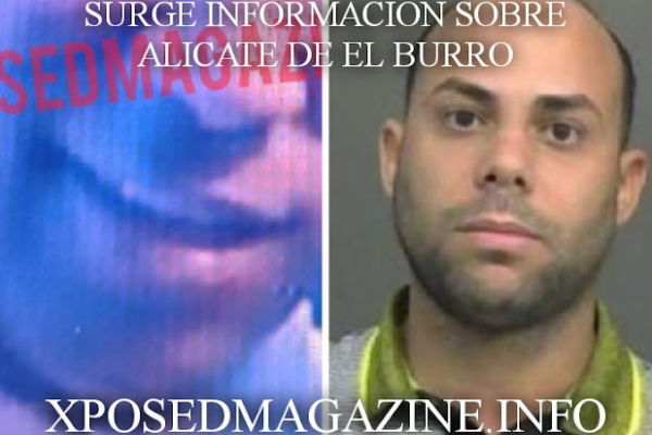 SURGE INFORMACIÓN SOBRE ALICATE DE EL BURRO
