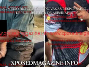 15.09.2023_19.04.31_REC