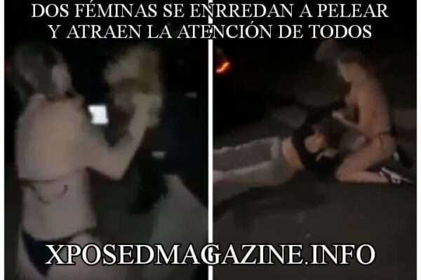 DOS FÉMINAS SE ENRREDAN A PELEAR Y ATRAEN LA ATENCIÓN DE TODOS