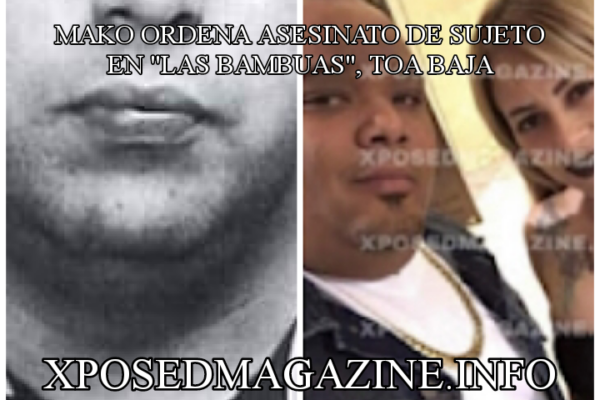 MAKO ORDENA ASESINATO DE SUJETO EN “LAS BAMBUAS”, TOA BAJA