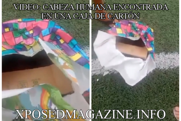 VIDEO: CABEZA HUMANA ENCONTRADA EN UNA CAJA DE CARTÓN