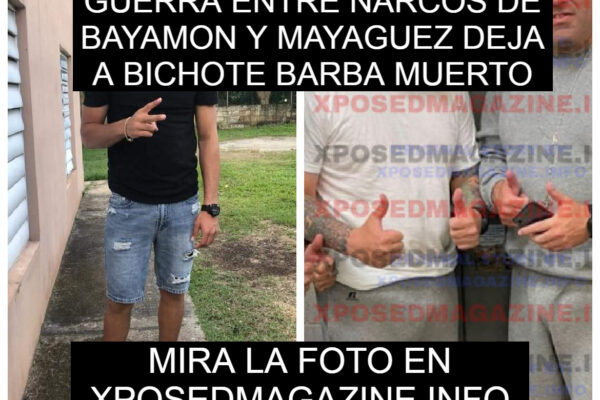GUERRA ENTRE NARCOS DE BAYAMON Y MAYAGUEZ DEJA A BICHOTE BARBA MUERTO
