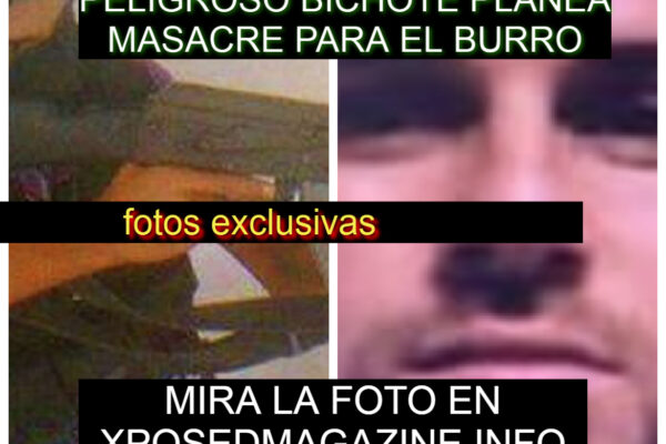PELIGROSO BICHOTE PLANEA MASACRE PARA EL BURRO