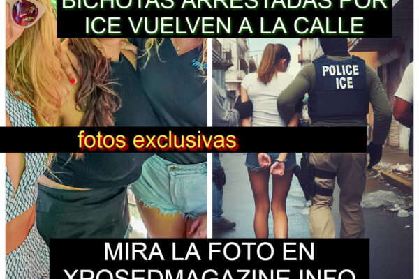 BICHOTAS ARRESTADAS POR ICE VUELVEN A LA CALLE