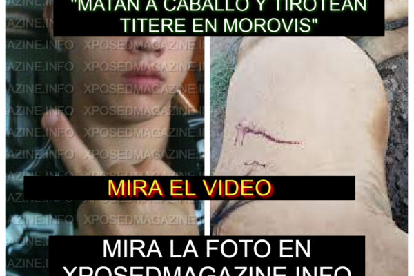 “MATAN A CABALLO Y TIROTEAN TITERE EN MOROVIS”