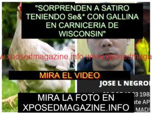 GALLINA