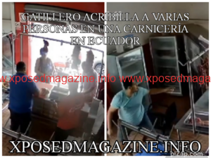 pz_1704472868883