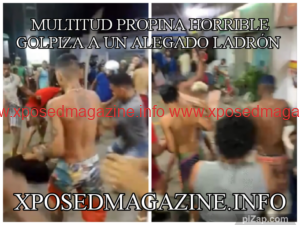 pz_1704646615139