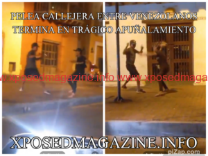 pz_1705170226902