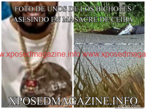 pz_1705379019512