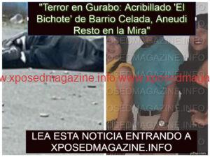 piZapijhoihoihoihhoihiohhihi