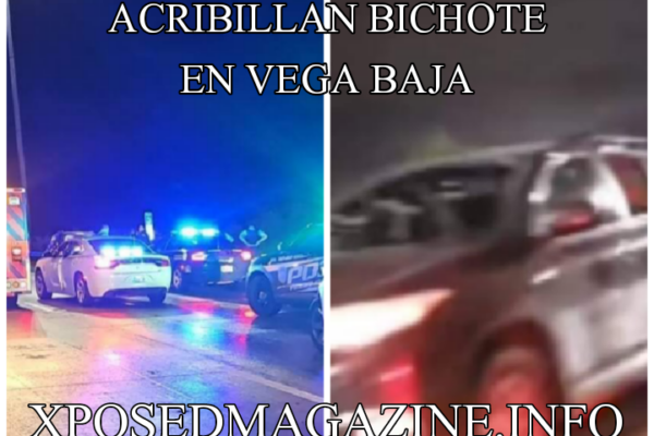 ACRIBILLAN BICHOTE EN VEGA BAJA