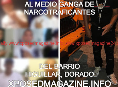 AL MEDIO GANGA DE NARCOTRAFICANTES DEL BARRIO HIGUILLAR, DORADO
