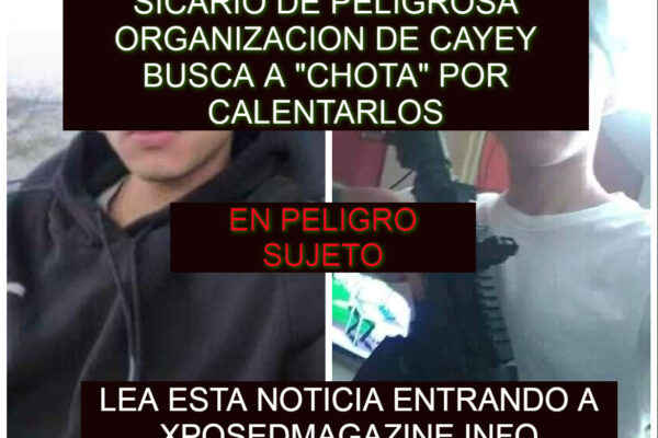 SICARIO DE PELIGROSA ORGANIZACION DE CAYEY BUSCA A “CHOTA” POR CALENTARLOS