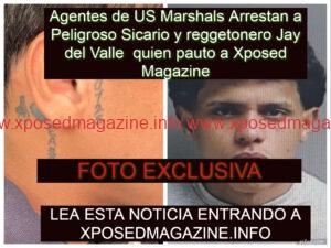 piZapRTJHFTGJHFGJHFTGJH