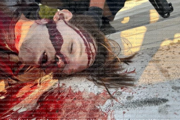 Foto Recientemente Publicada Sugiere Premeditación en Intento de Asesinato de Trump