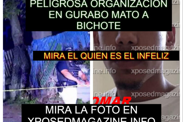 PELIGROSA ORGANIZACION EN GURABO MATO A BICHOTE