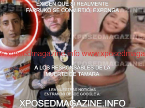 21.11.2024_23.27.16_REC