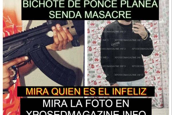BICHOTE DE PONCE PLANEA SENDA MASACRE