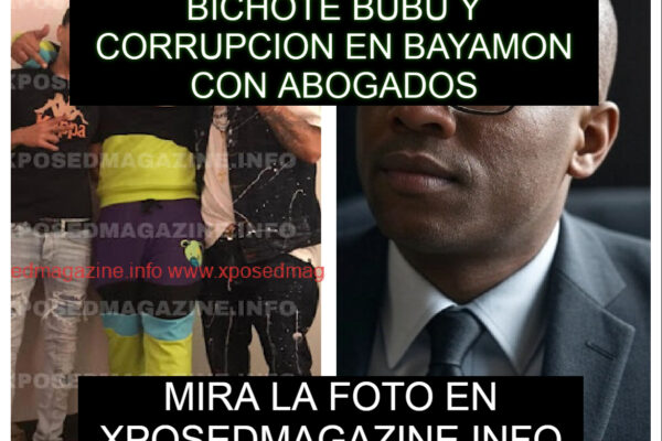 BICHOTE BUBU Y CORRUPCION EN BAYAMON CON ABOGADOS